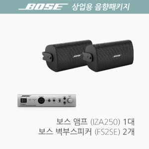 [BOSE] 보스 상업용 음향패키지/ FS2SE 2개