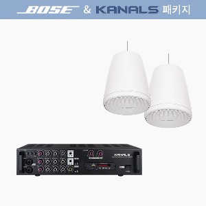 [BOSE] 보스 음향패키지/ FS2P 2개/ EMA-220N